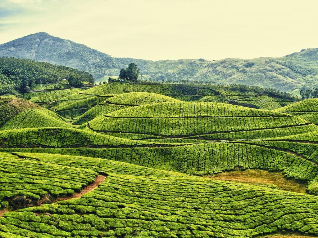 Dean Dale Cottages Thekkady Luaran gambar